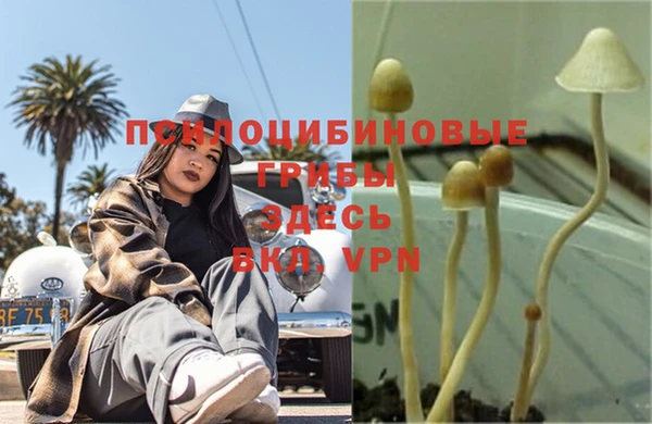 таблы Арсеньев