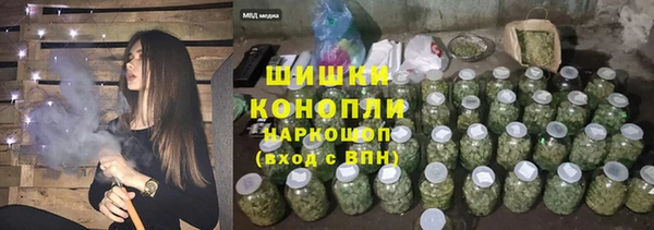 СК Аркадак